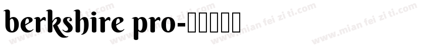 berkshire pro字体转换